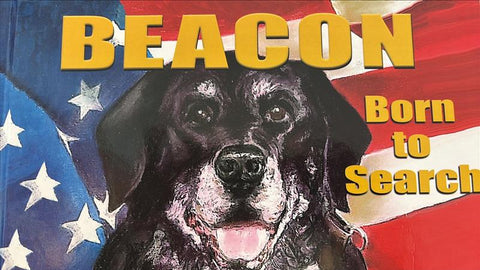 BOOK   Beacon  (Born to Search)